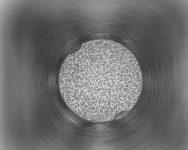 X0000065960662200603311813