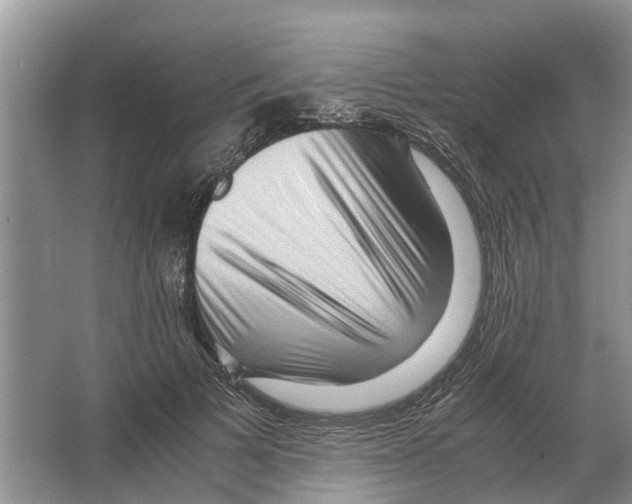 X0000065960697200603311812