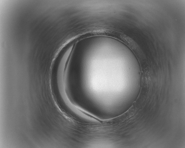 X0000065960728200603311811