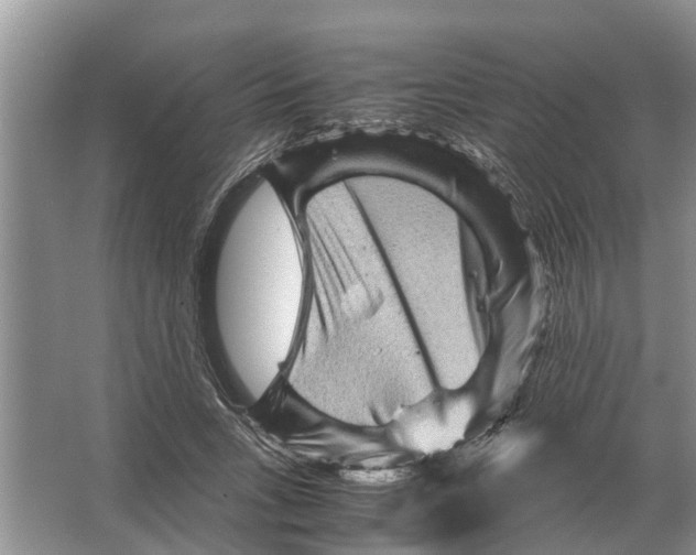 X0000065960735200603311811