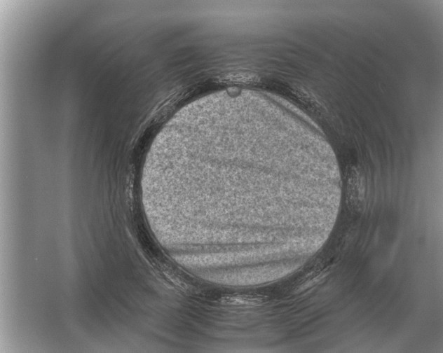 X0000065960739200603311811