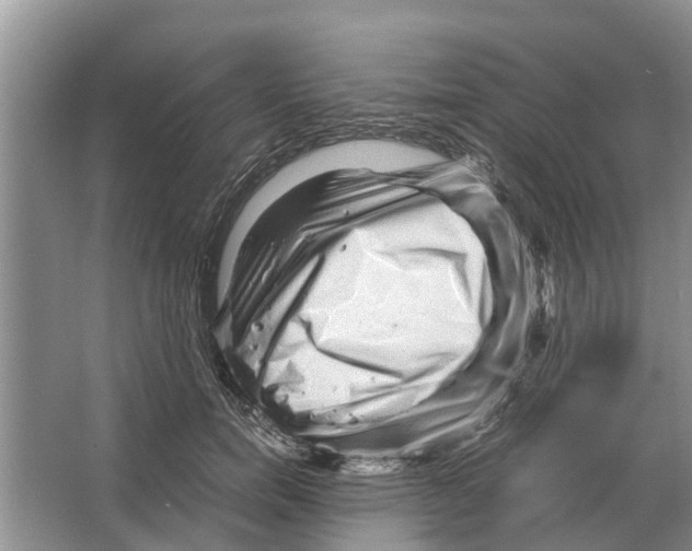 X0000065960750200603311811