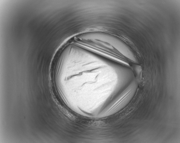 X0000065960784200603311811