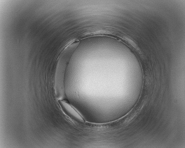 X0000065960793200603311810