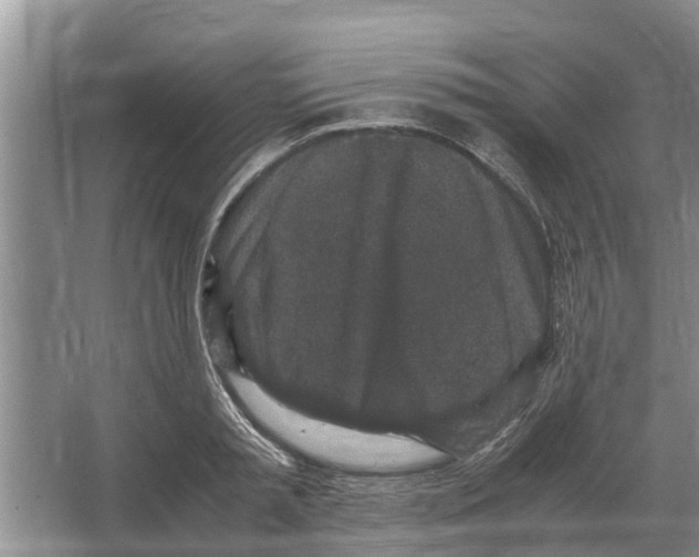 X0000065960797200603311810