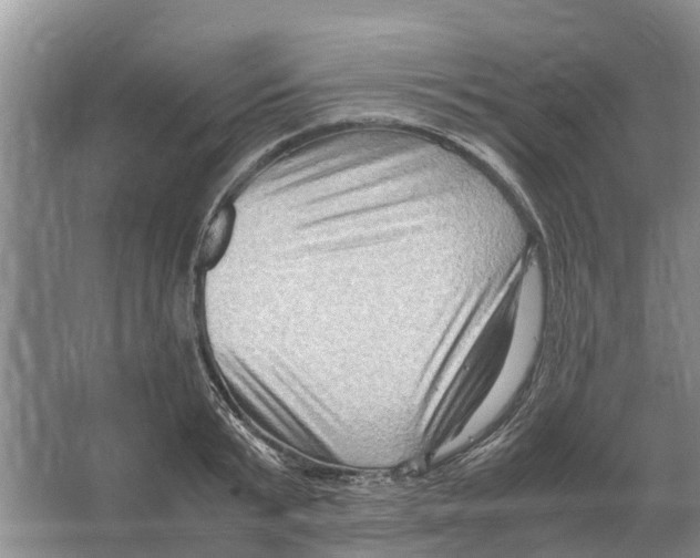 X0000065960799200603311810