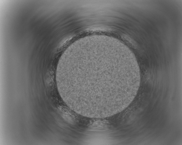 X0000065960824200603311809