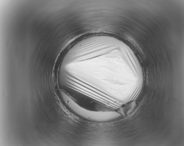 X0000065960876200603311809