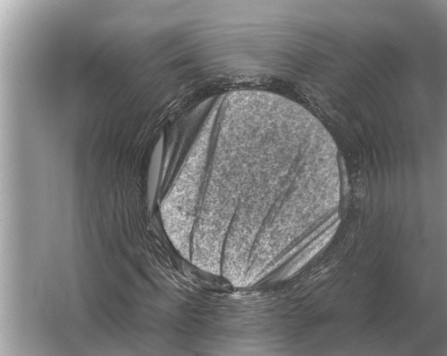 X0000065960916200603311808