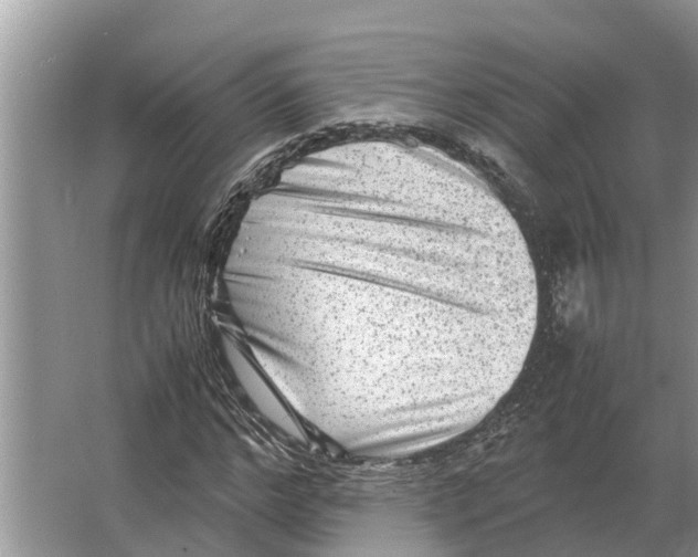 X0000065960968200603311807