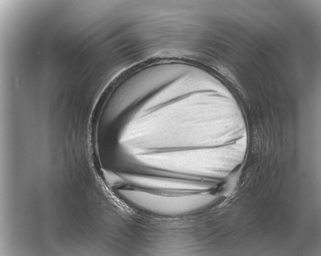 X0000065960976200603311807