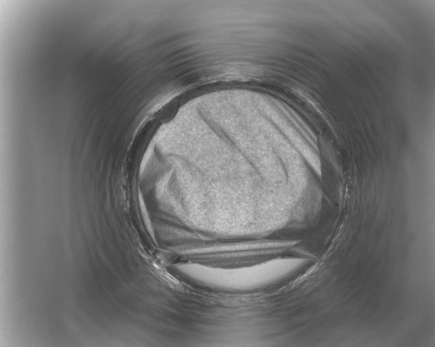 X0000065961018200603311806