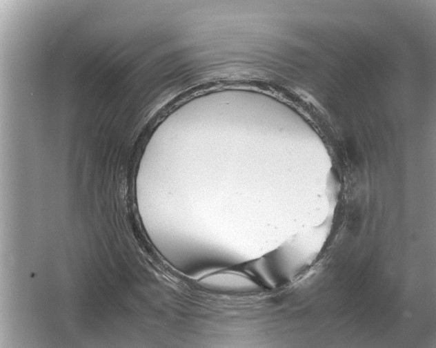 X0000065961065200603311806
