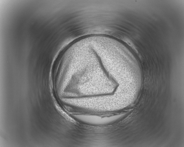X0000065961080200603311806