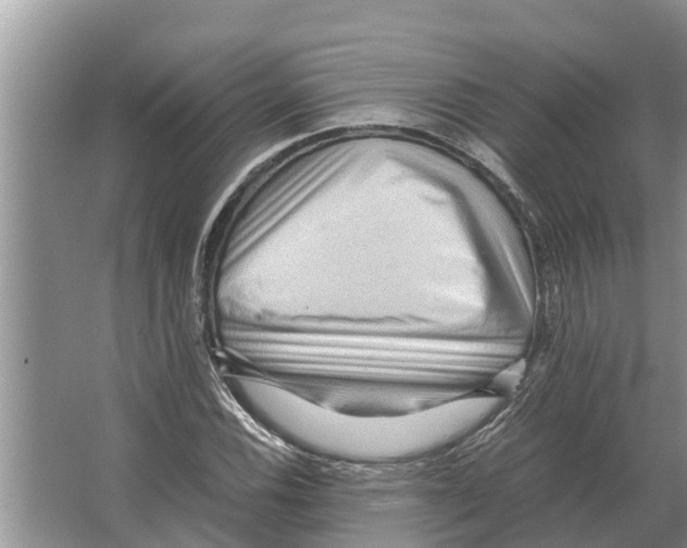 X0000065961116200603311805