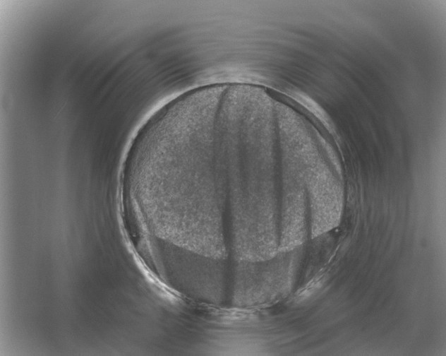 X0000065961144200603311805