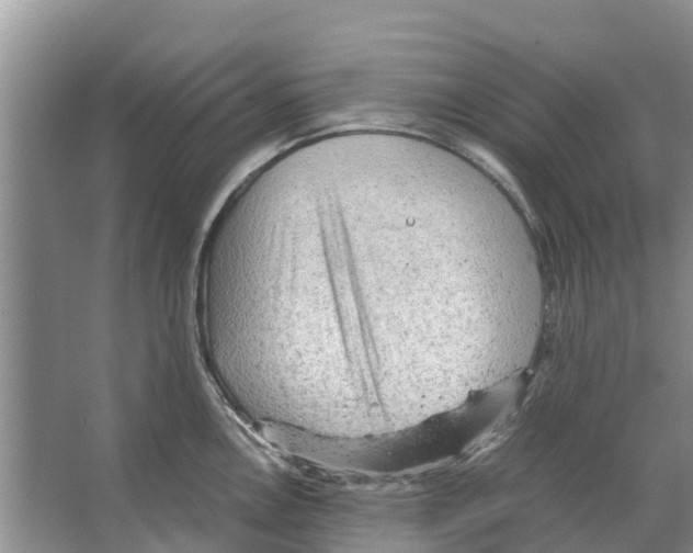 X0000065961146200603311805