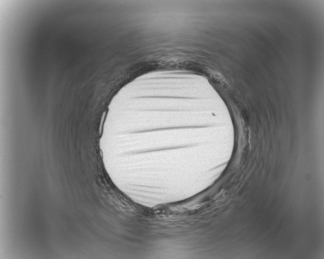 X0000065961153200603311804