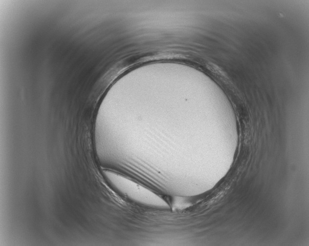 X0000065961177200603311804