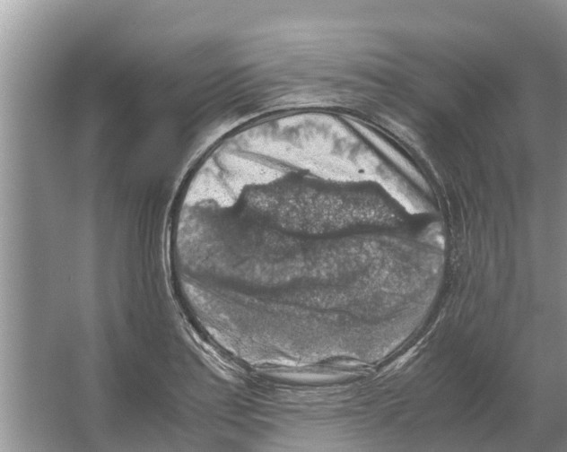 X0000065961179200603311804