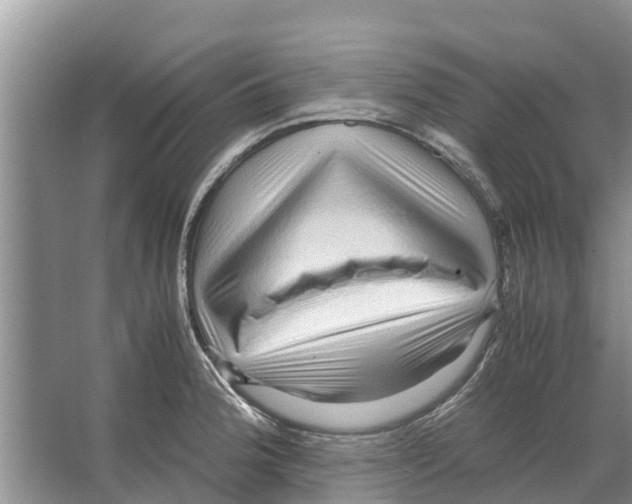X0000065961188200603311804