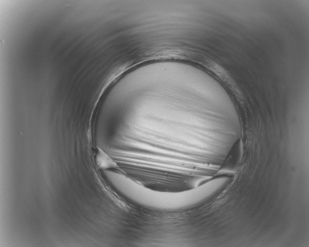 X0000065961234200603311803