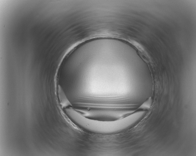 X0000065961238200603311803