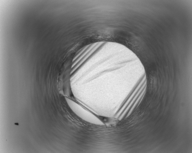 X0000065961250200603311803