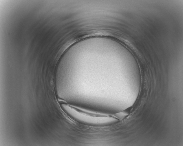 X0000065961281200603311802