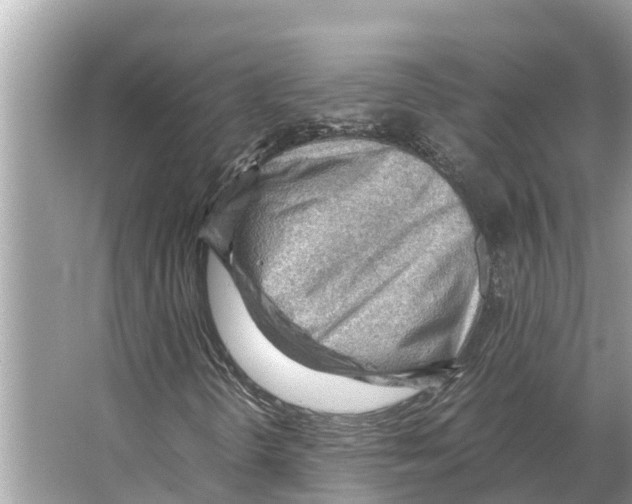 X0000065961298200603311801