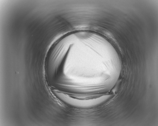 X0000065961328200603311802