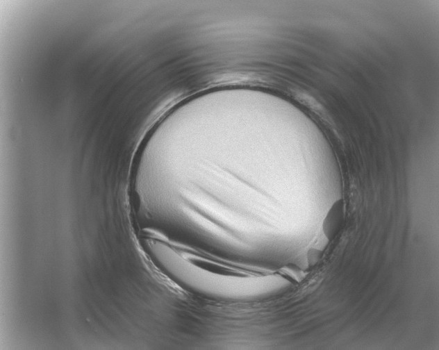 X0000065961330200603311802