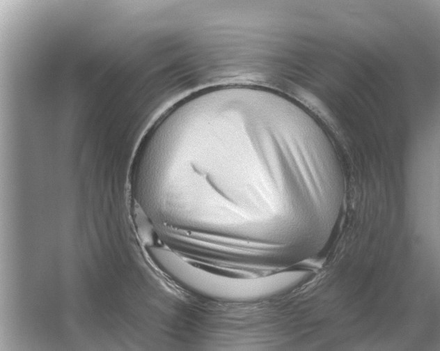X0000065961332200603311802
