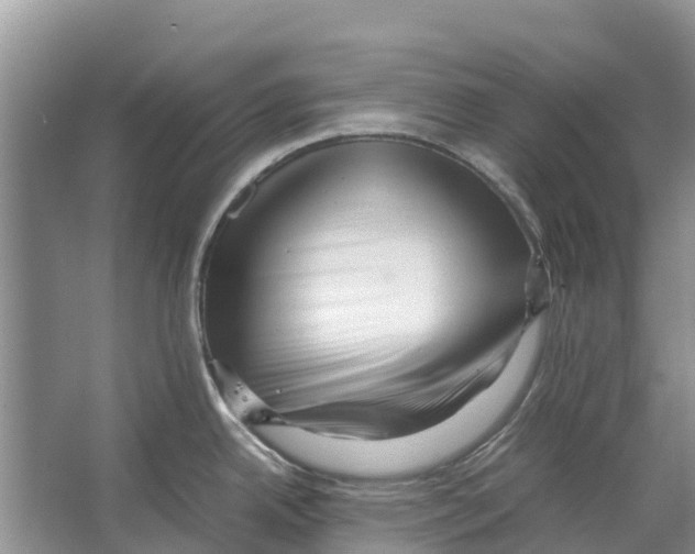 X0000065961342200603311802