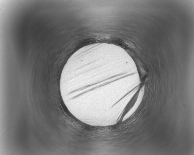 X0000065961345200603311801