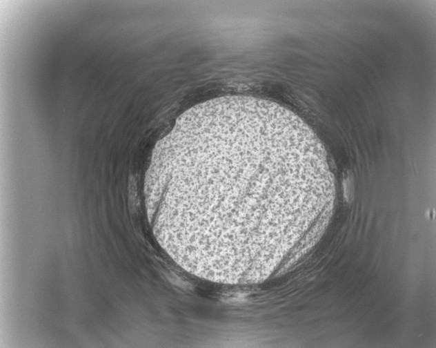 X0000065961347200603311801