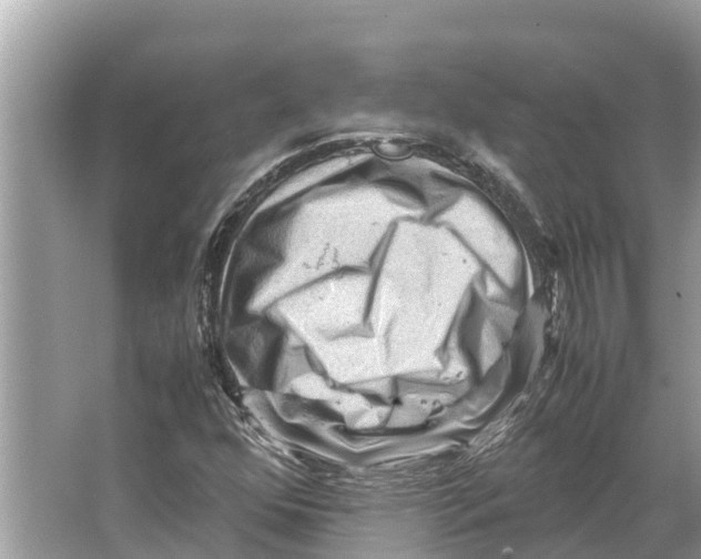 X0000065961352200603311801