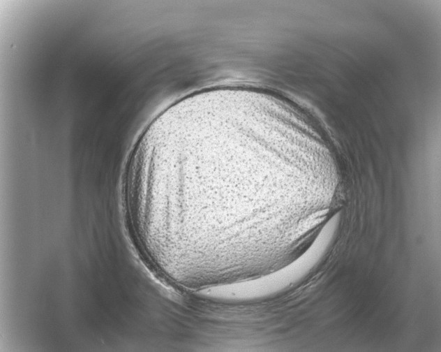 X0000065961375200603311801