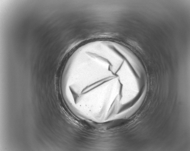 X0000065961404200603311800