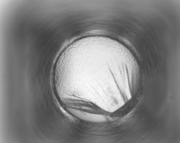 X0000065961421200603311800