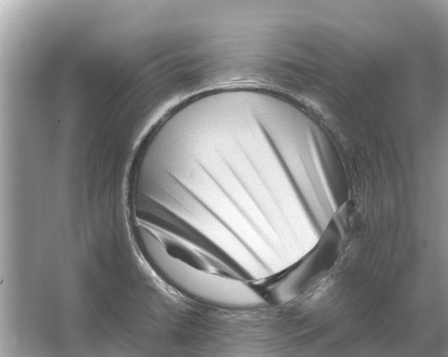 X0000065961422200603311800
