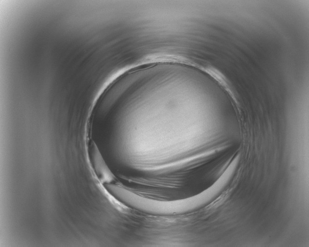 X0000065961438200603311800