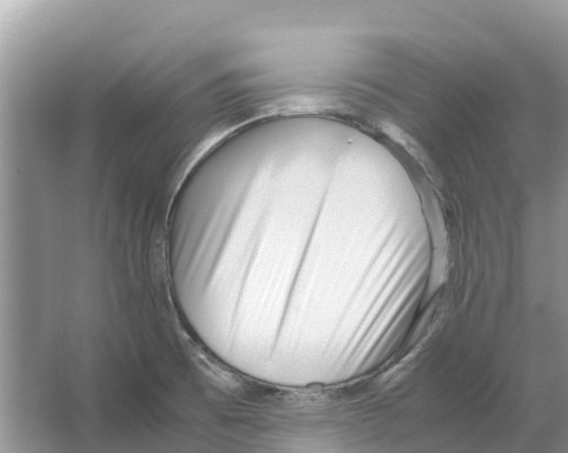 X0000065961473200603311759