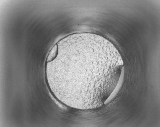 X0000065961479200603311759