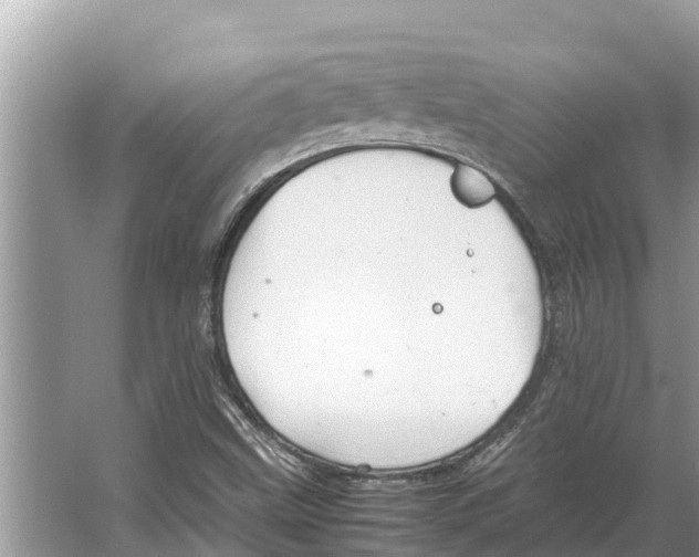 X0000065961499200603311758