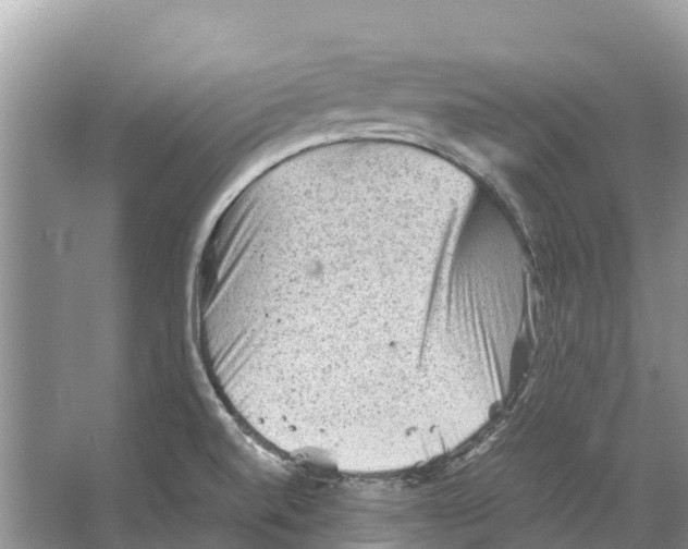 X0000065961520200603311758