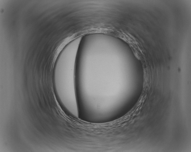 X0000065970003200603030916