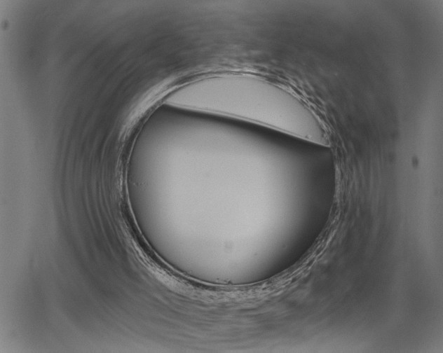 X0000065970005200603030916