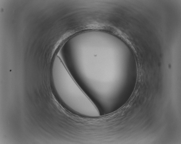 X0000065970011200603030916