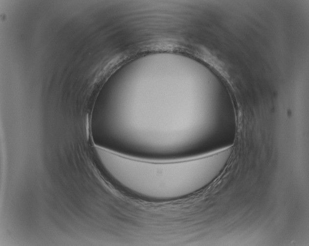 X0000065970013200603030916